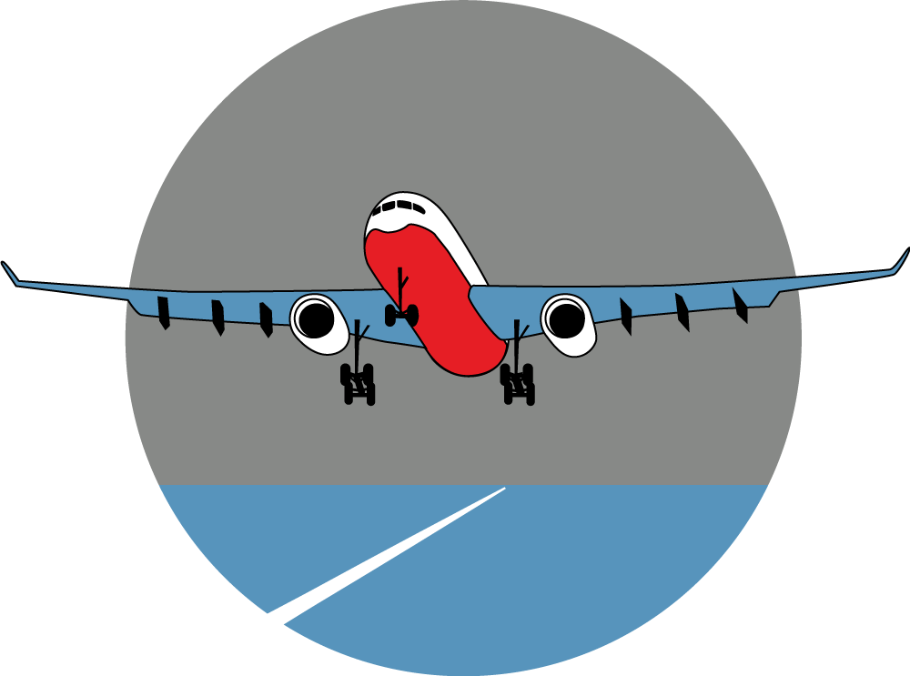 Ein in den USA landendes Flugzeug.