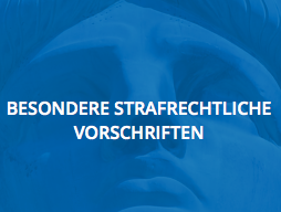 Vordruck - Einreise in die USA mit Kindern