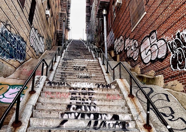 Die Bronx in New York City Sehenswürdigkeiten und Highlights in Die Bronx in New York City Sehenswürdigkeiten und Highlights in