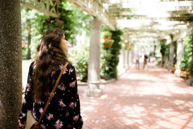 Stadtpark und Zoo in Boston